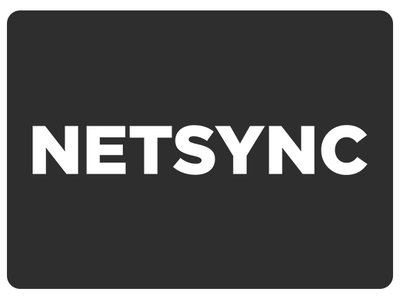 Netsync logo